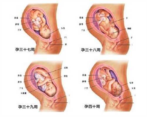 为什么赴美生子·如何通过孕检结果来辨胎儿性别