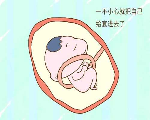 西宁最大供卵中介-温州供卵试管选性别