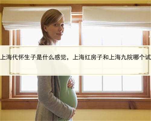 代孕中心哪里最专业，上海代怀生子是什么感觉，上海红房子和上海九院哪个试