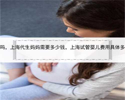 代孕贵吗，上海代生妈妈需要多少钱，上海试管婴儿费用具体多少钱？