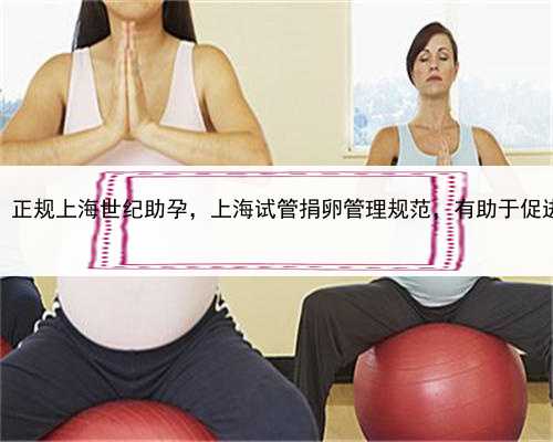 帮别人代孕违法吗，正规上海世纪助孕，上海试管捐卵管理规范，有助于促进试