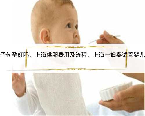 借卵子代孕好吗，上海供卵费用及流程，上海一妇婴试管婴儿费用