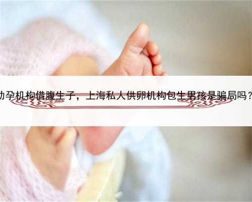 在做代孕的费用，上海助孕机构借腹生子，上海私人供卵机构包生男孩是骗局吗