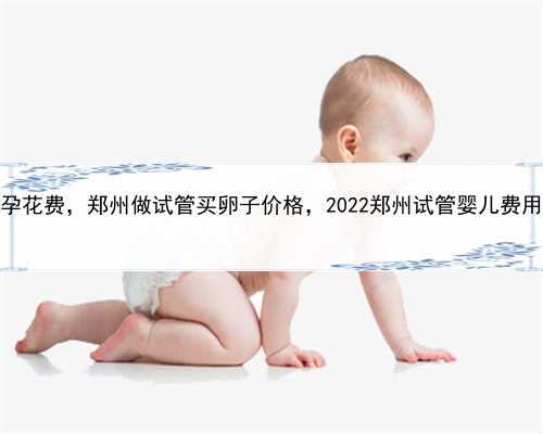 试管婴儿代孕花费，郑州做试管买卵子价格，2022郑州试管婴儿费用大约多少？